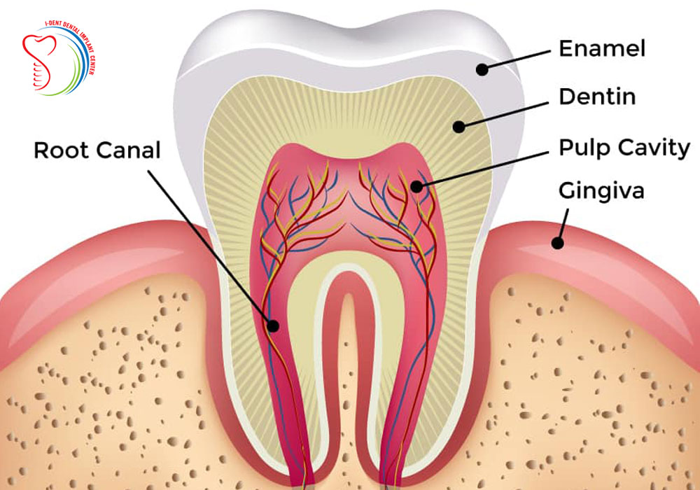 ENAMEL